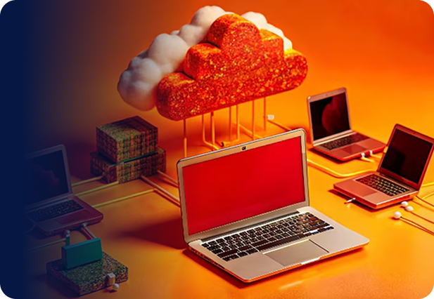 Web Hosting & Support